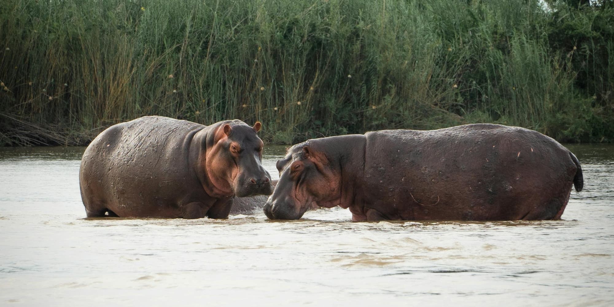 DAY 5: ENTREPRENEURSHIP AND TRADITIONAL MUSIC WORKSHOPS