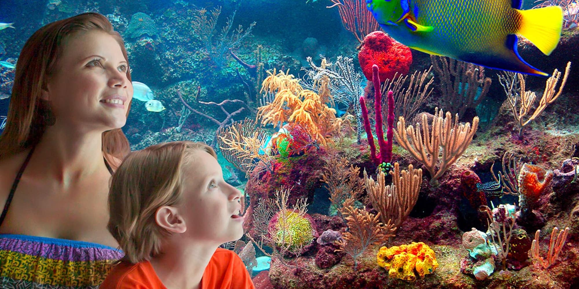 Visit to the Interactive Museum