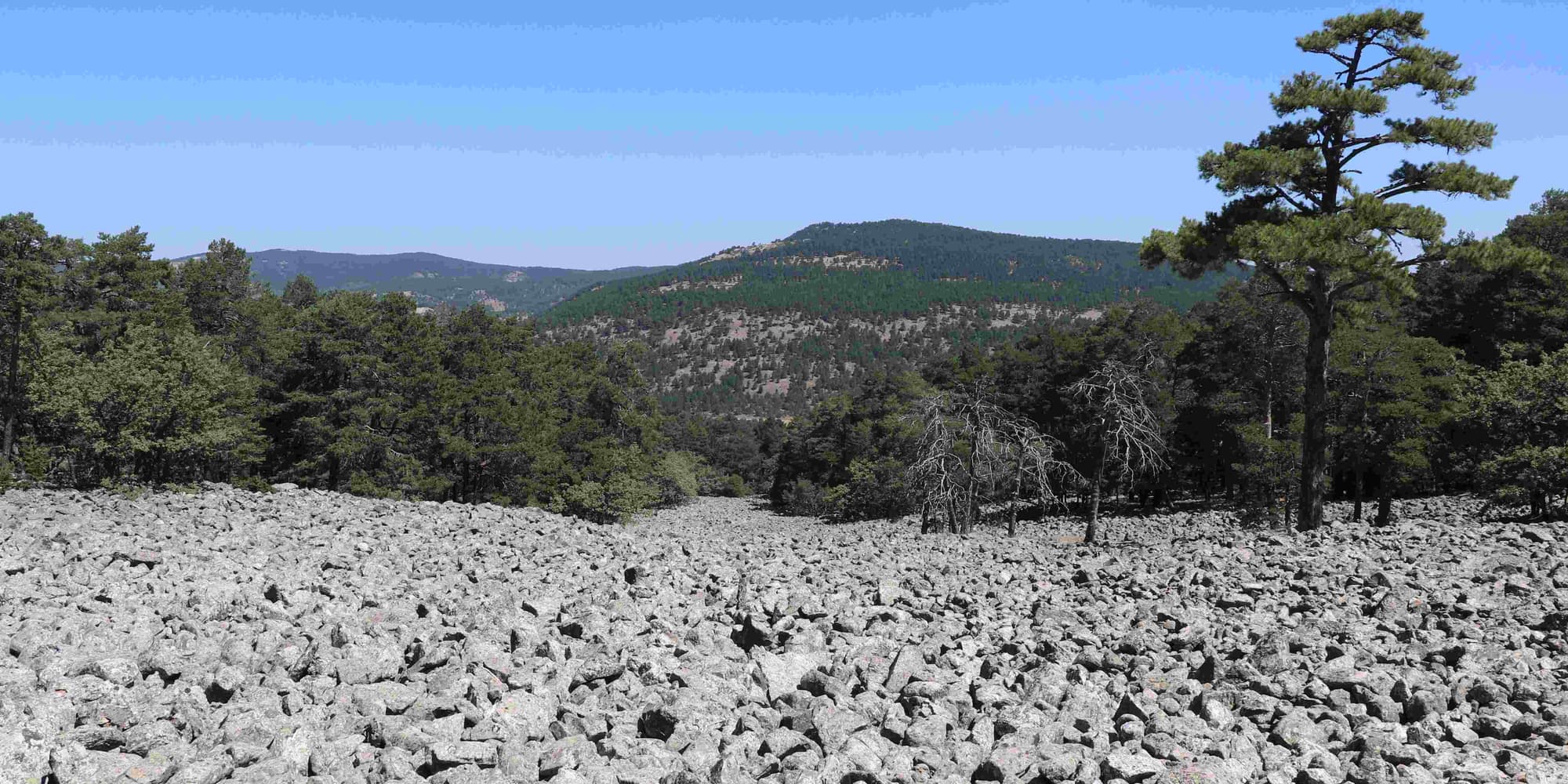 DAY 1: ORIHUELA DEL TREMENDAL