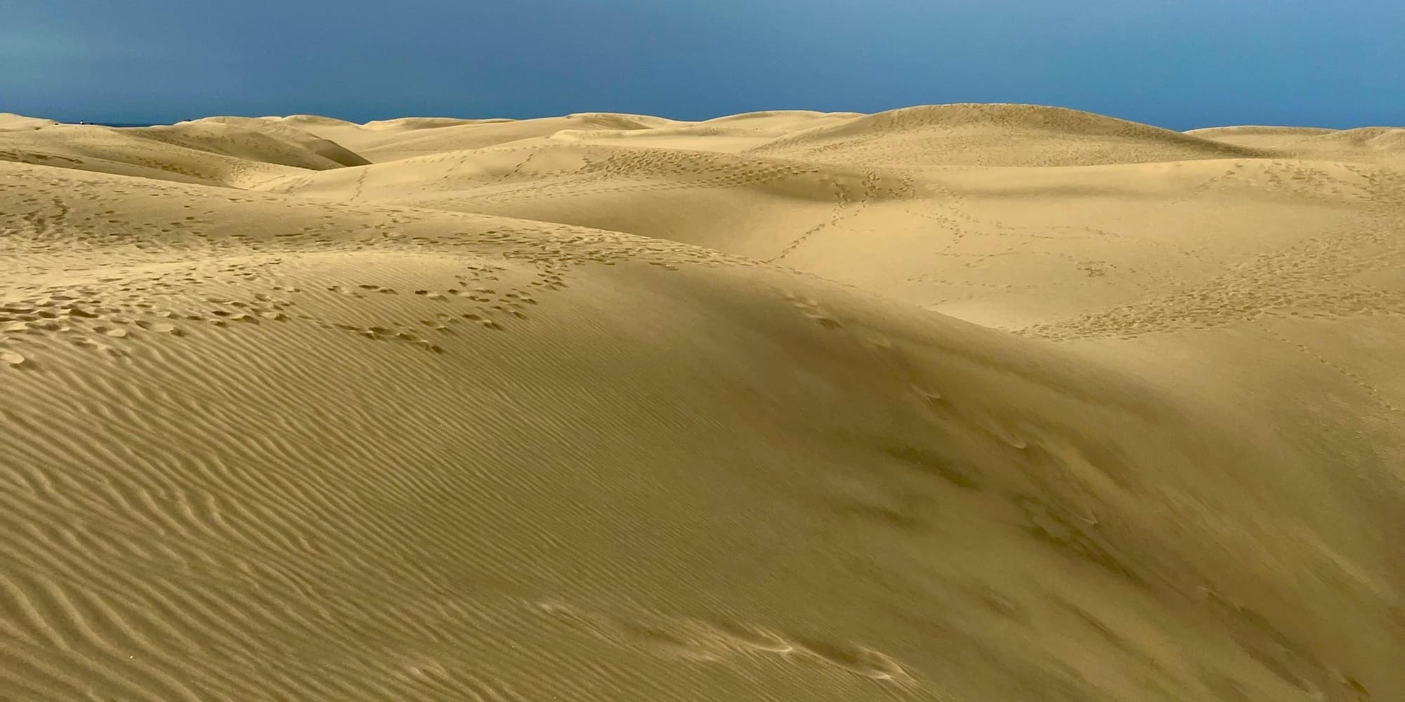 DAY 1: ARRIVAL IN GRAN CANARIA – MASPALOMAS AND PLAYA DEL INGLÉS