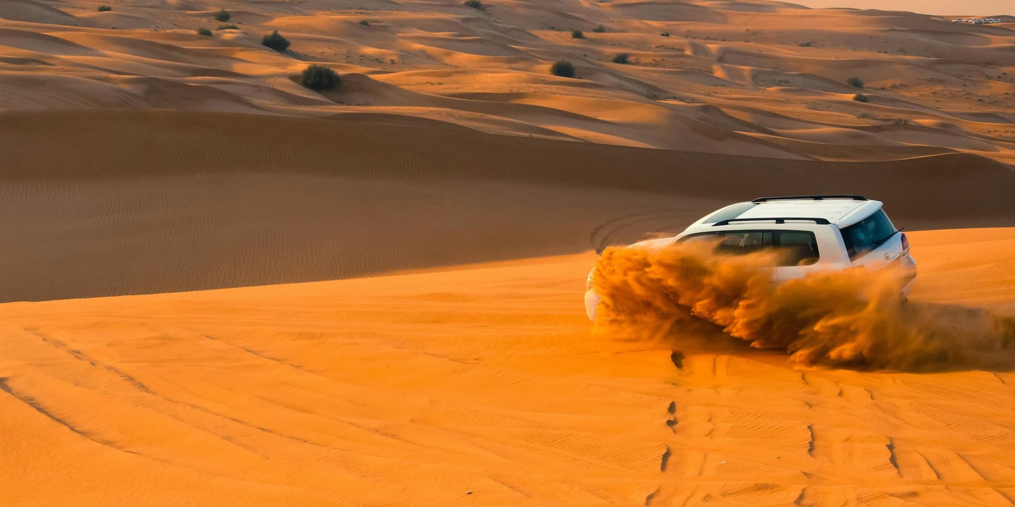 DIA 11 (MARTES) SAFARI EN 4X4 / CENA BBQ  