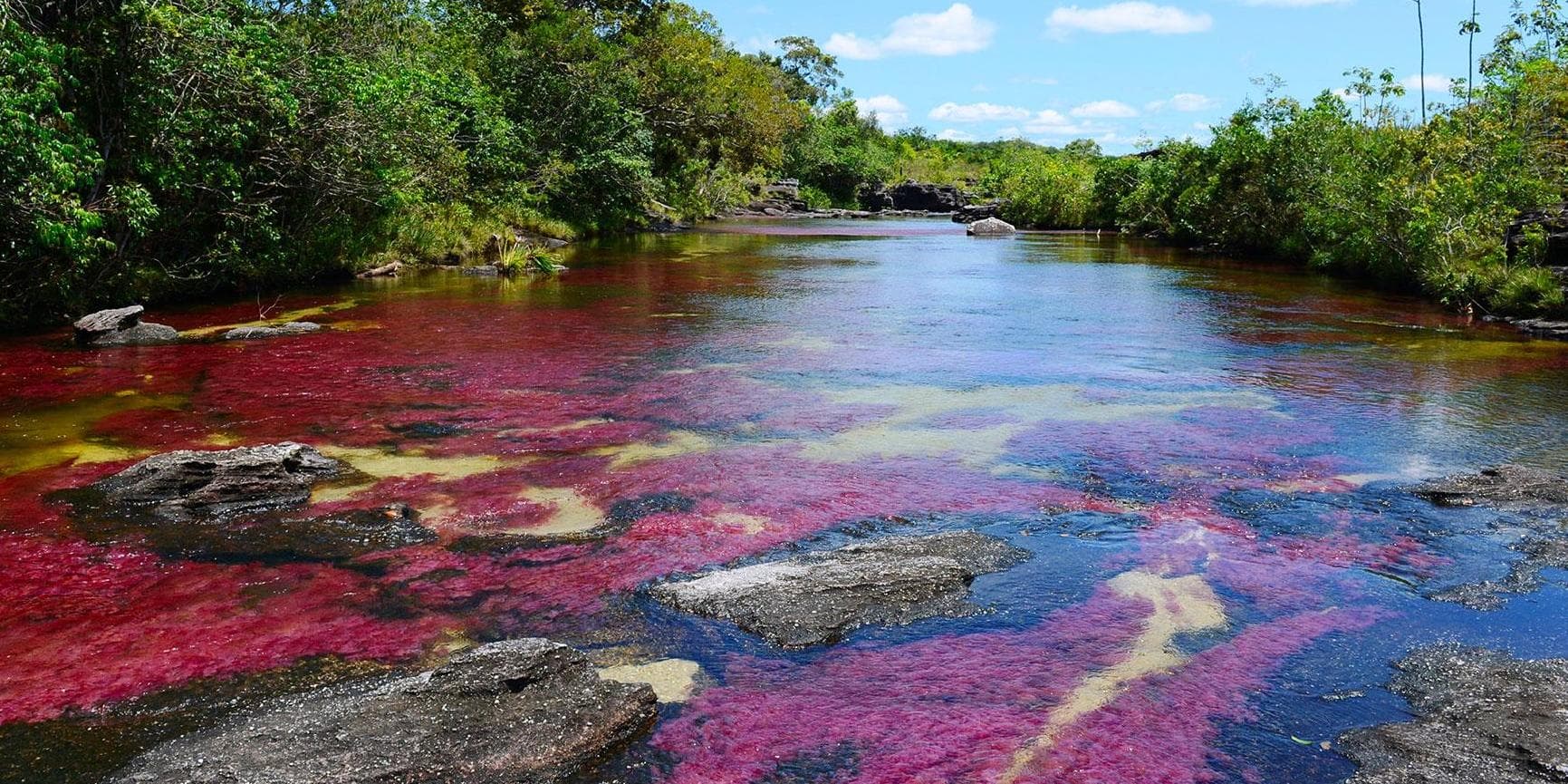 Día 2. Bogotá y La Macarena - Traslado de salida y de llegada 