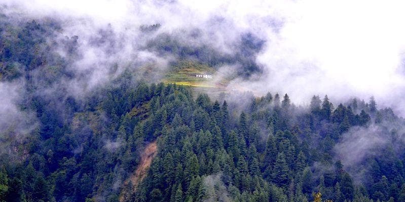 PARCO NAZIONALE DI CHITWAN/ KATHMANDU