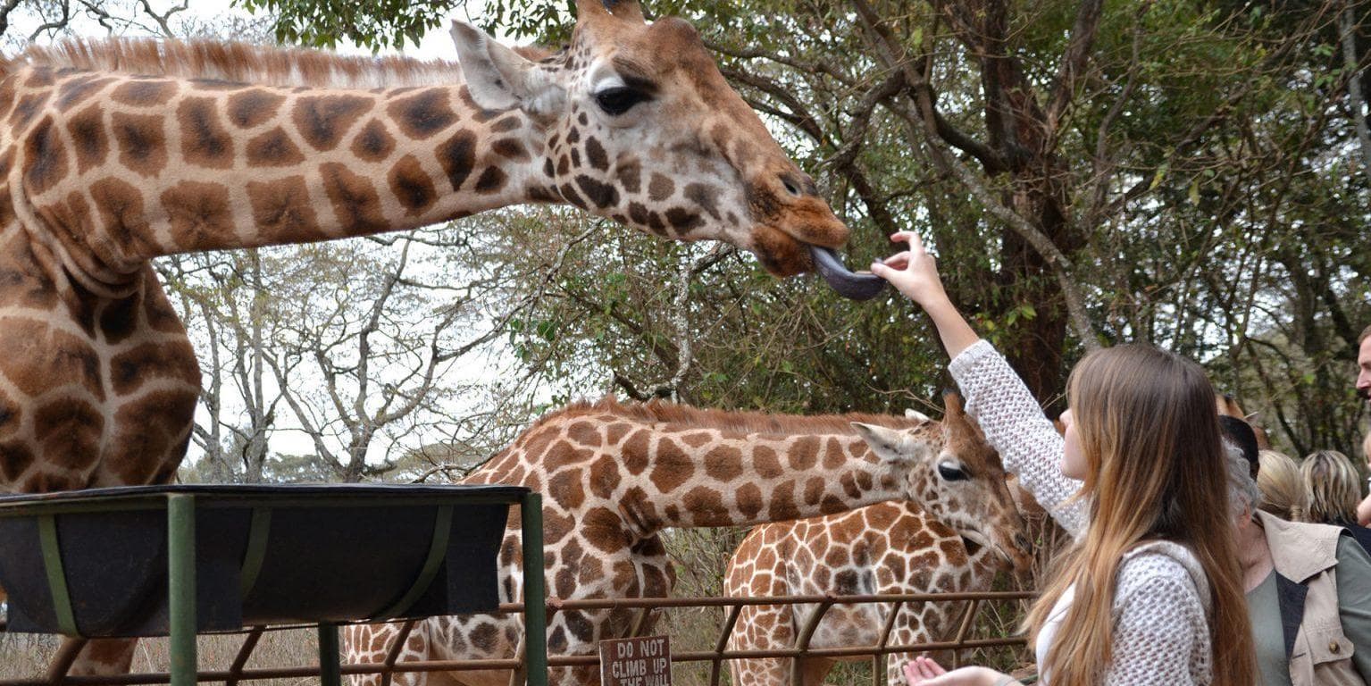 Día 3 | Jueves 21 de Mayo | Nairobi