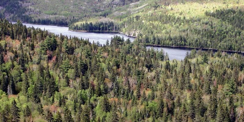 Jour 7 & 8 : Mauricie