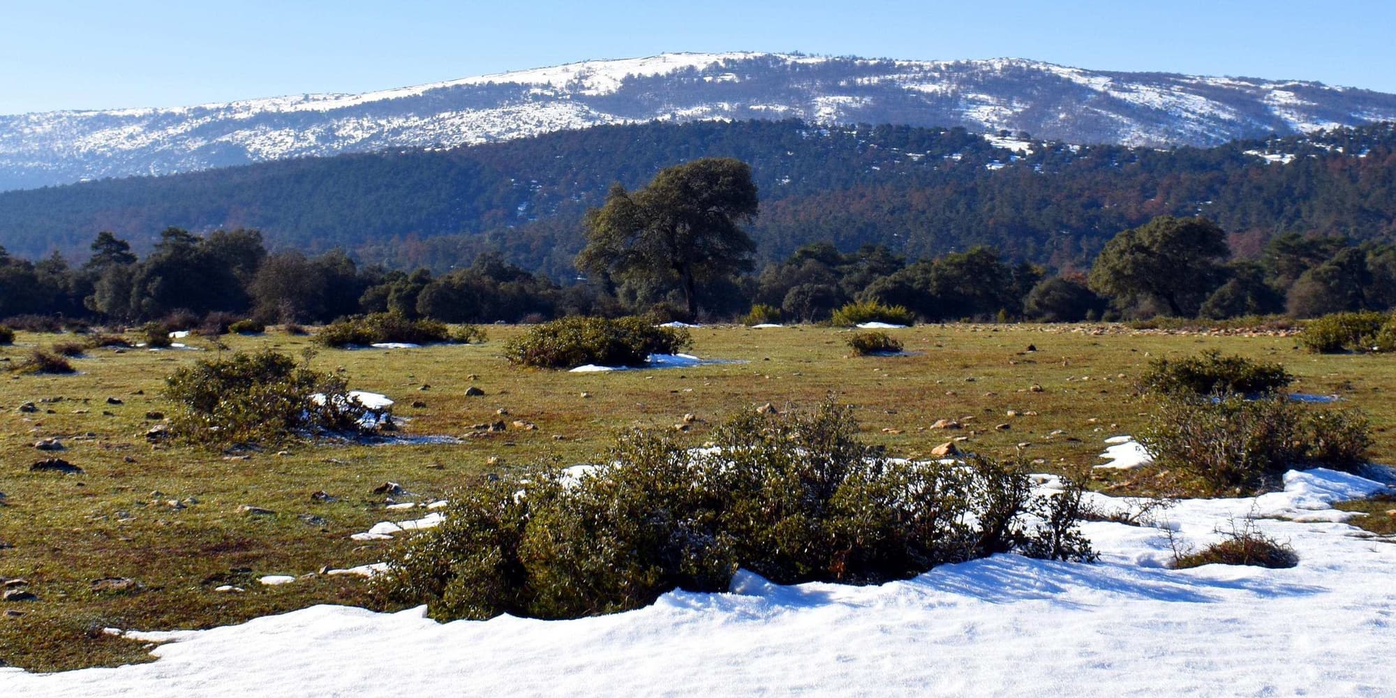 DAY 5: SANTA GADEA DEL CID - VALDEGOVÍA