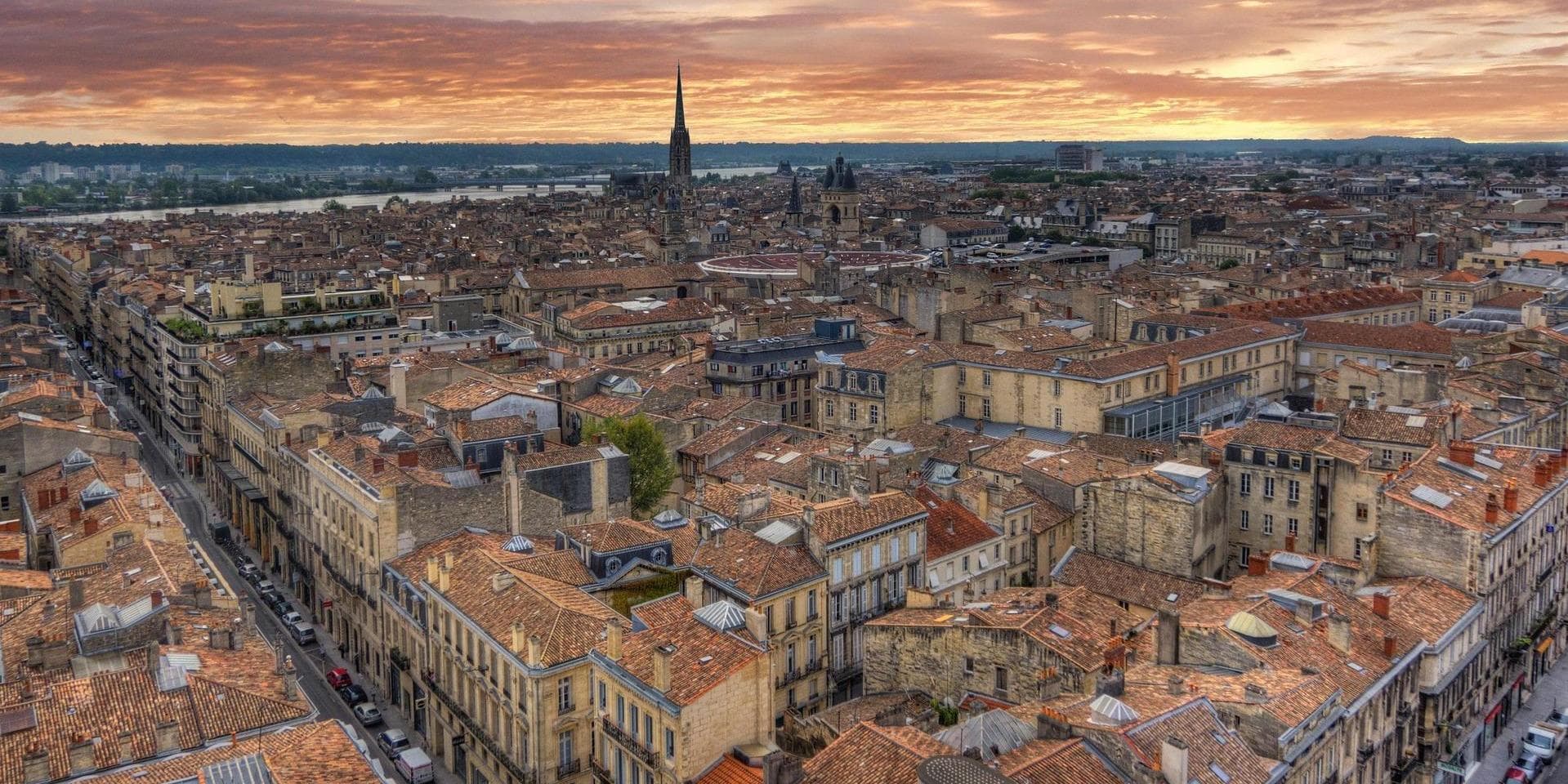 Dia 14 | Paris – Blois – Valle de Loira – Burdeos, castillos y viñedos 