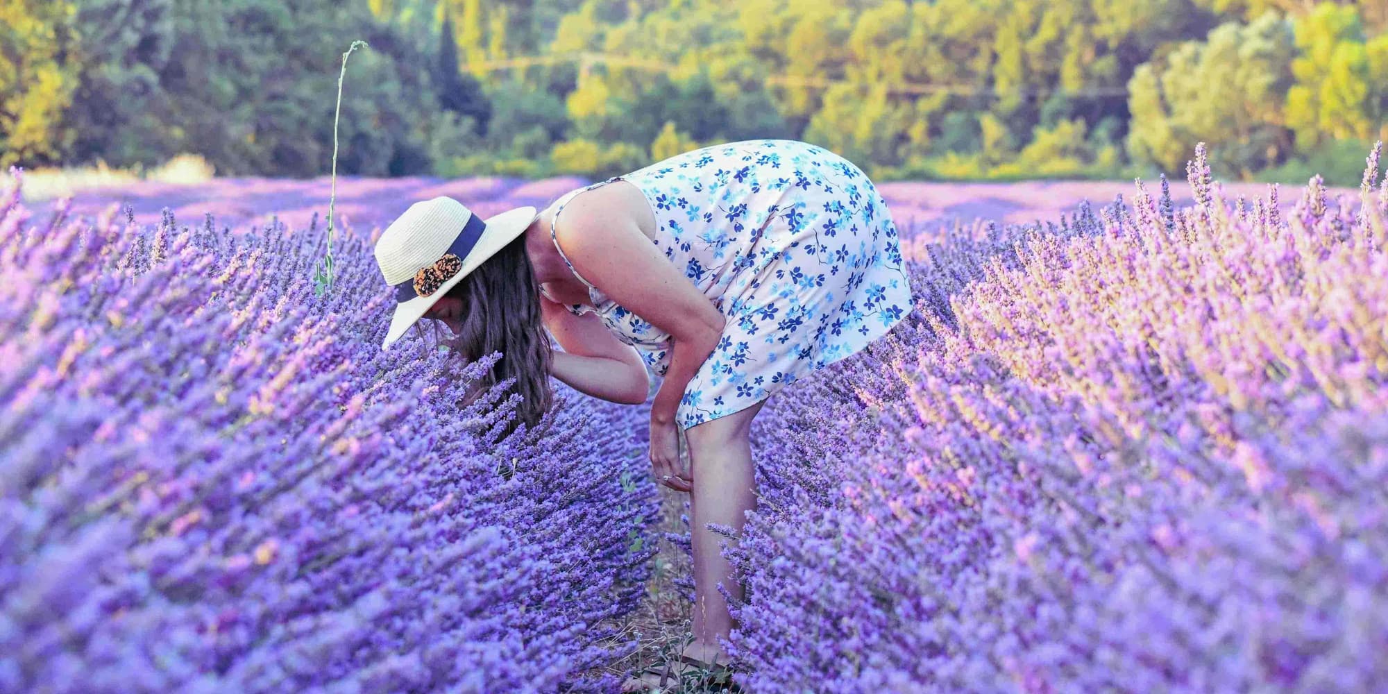 DAY 2: VITALITY AND NATURAL BEAUTY IN PROVENCE