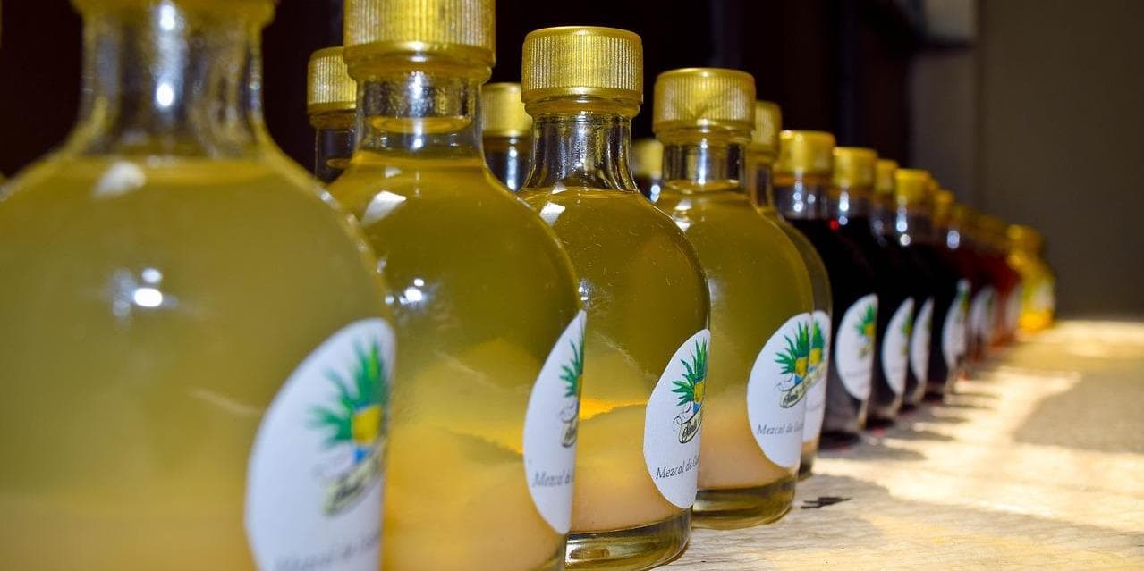 7º Giorno – Oaxaca / Santiago Matatlán /Tuxtla Gutiérrez (567 km)