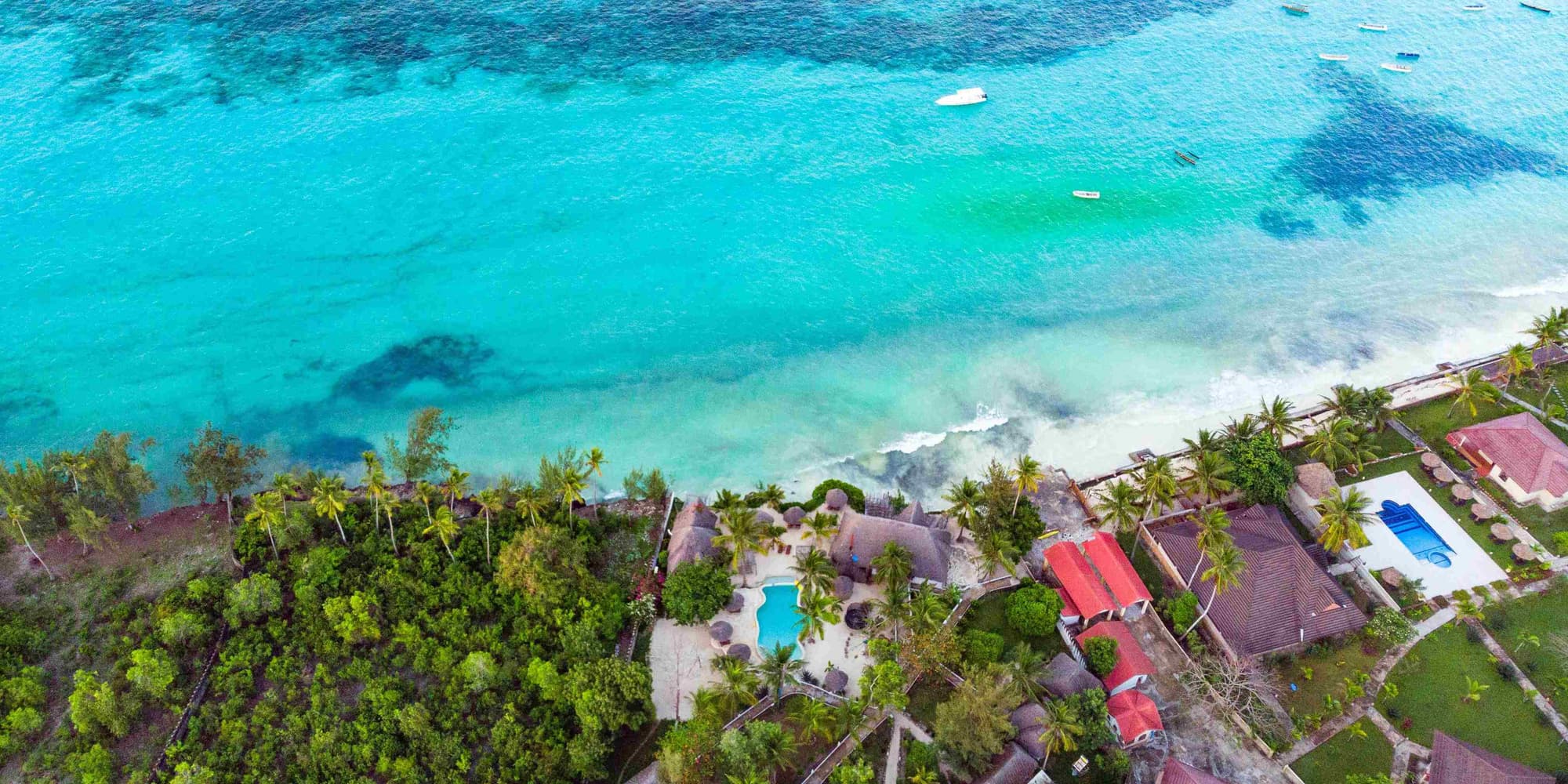 Stone Town - Safari Blue aquatic adventure