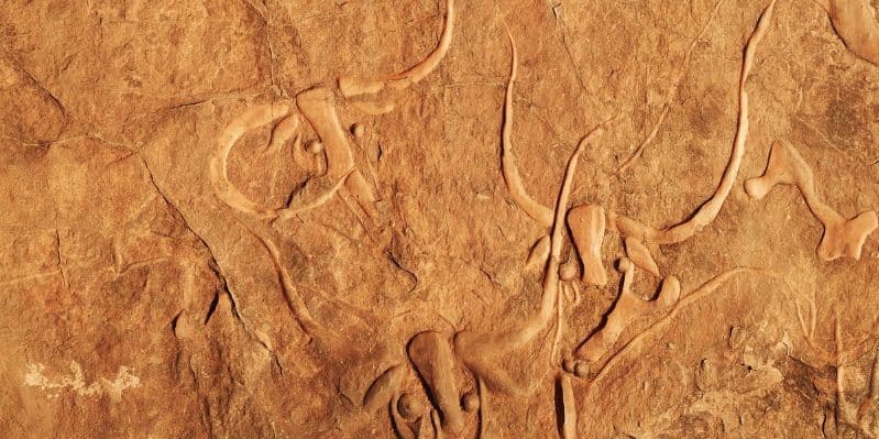 DJANET / ERG ADMER / TERARAT / DJANET