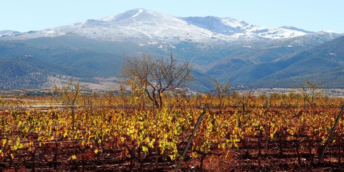  DAY 4: LA CALAHORRA – POLICAR