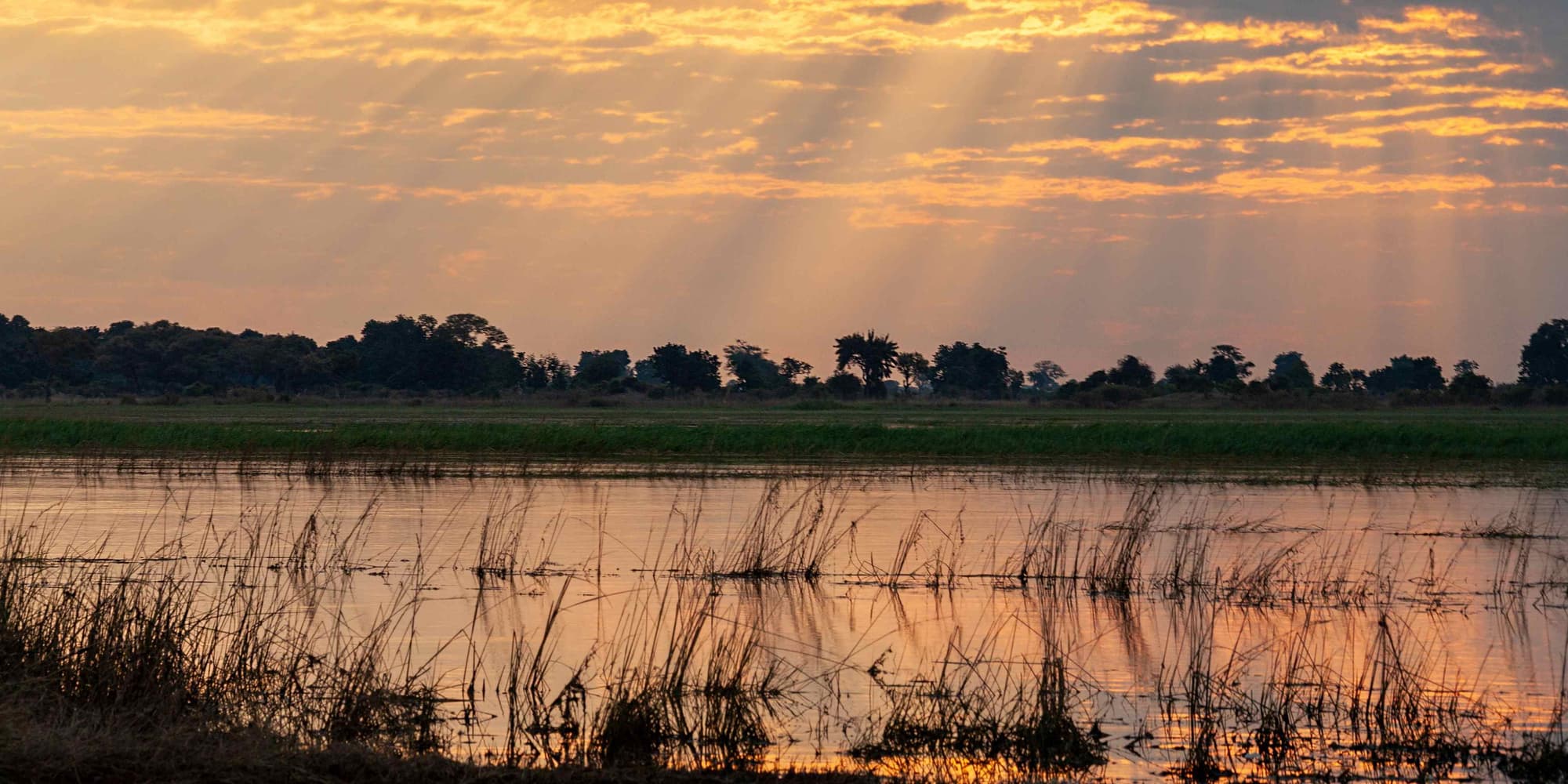 Giorno 2: Victoria Falls – Chobe 