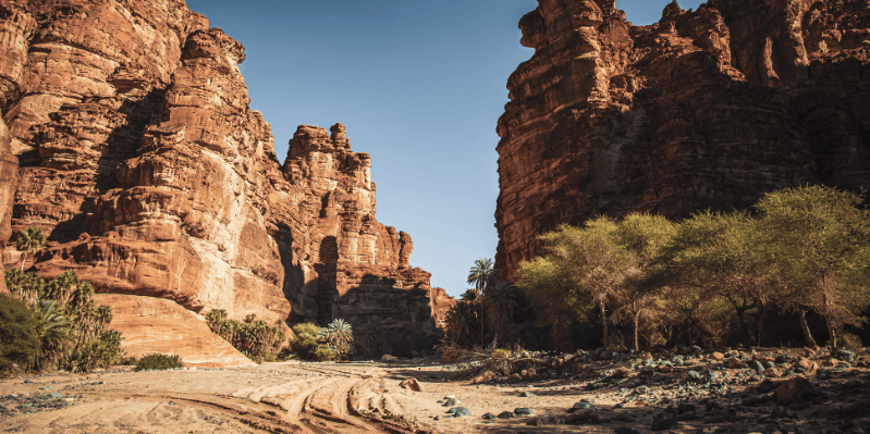 AL-‘ULA / DISAH VALLEY / TABUK