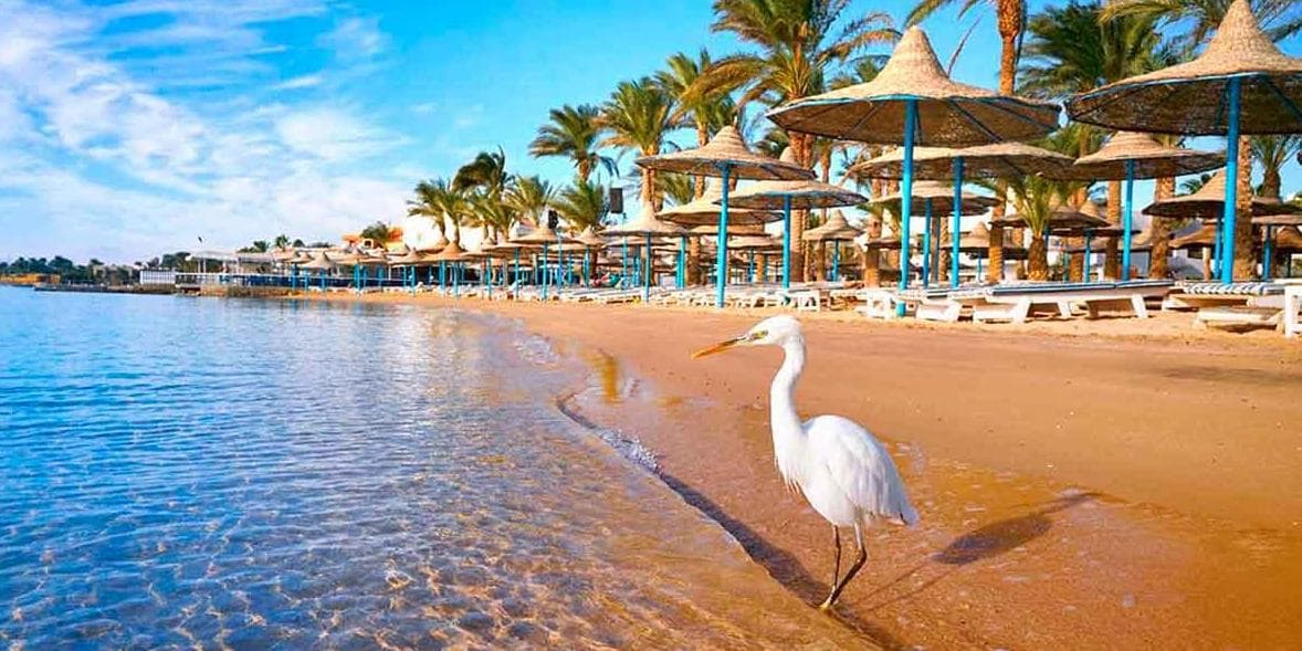 DÍA HURGHADA (D, A, C)