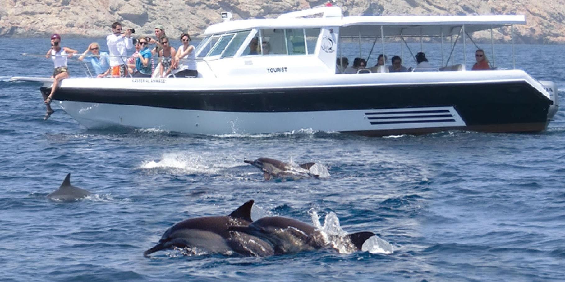 DAY 03: DOLPHIN WATCHING & SNORKELLING TOUR 