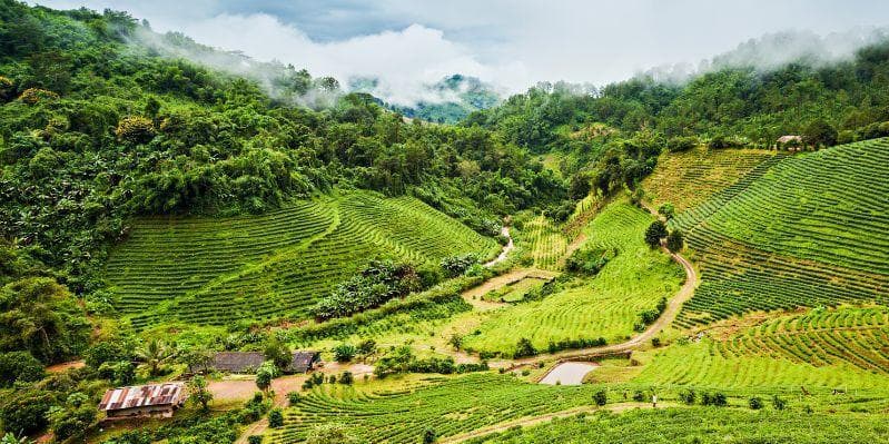 CHIANG RAI/ TRIANGOLO D’ORO/DOI MAE SALONG