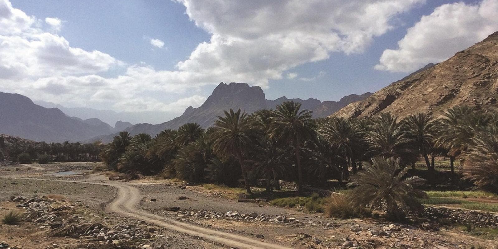 DAY 5: SUR - WAHIBA [200 km] 