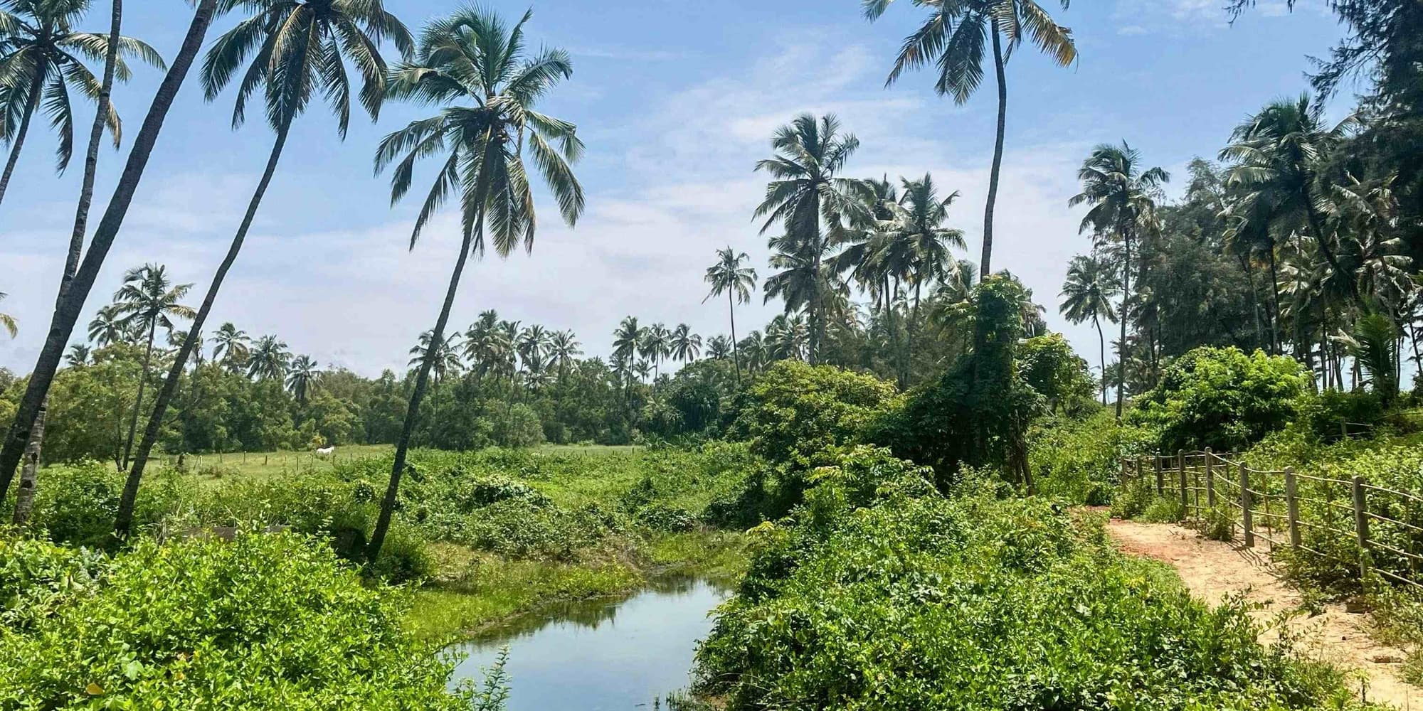 DÍA 6: DESPEDIDA Y REGRESO