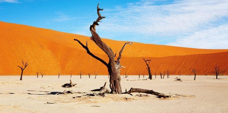 PARCO NAZIONALE NAMIB-NAUKLUFT