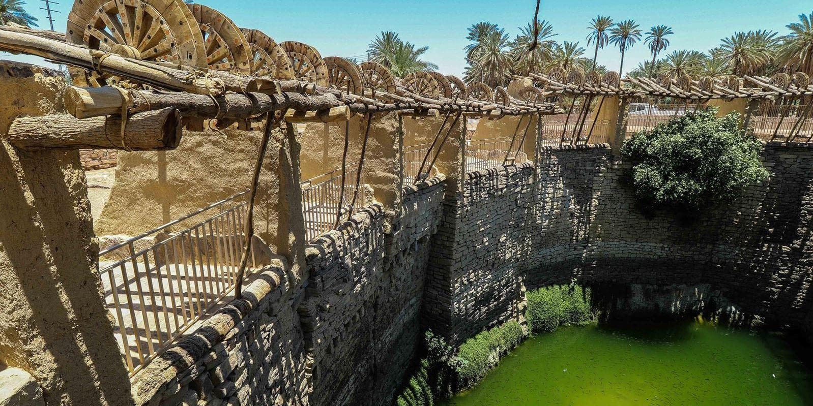 DÍA 13: TABUK - TAYMA (260 km)