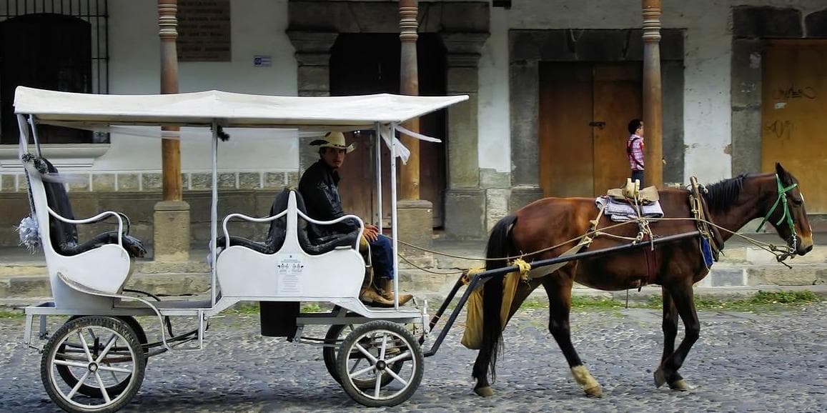 5° Giorno - Lunedì Puebla / Oaxaca (344 km)