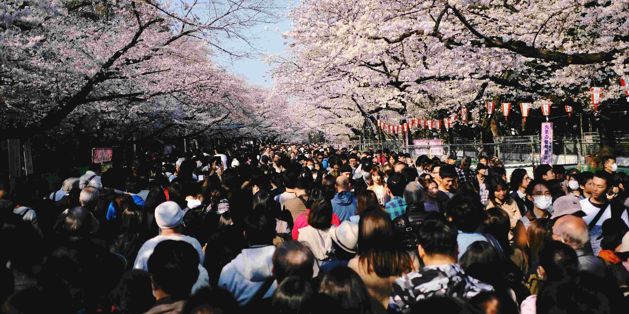 DÍA 2: CULTURA Y HISTORIA EN TOKIO