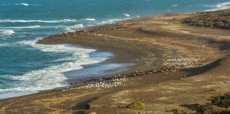 BUENOS AIRES / TRELEW / PUERTO MADRYN