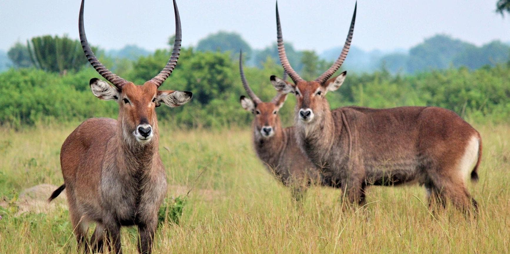 Day 6 : Maroua - Pouss - Mourla - Maroua