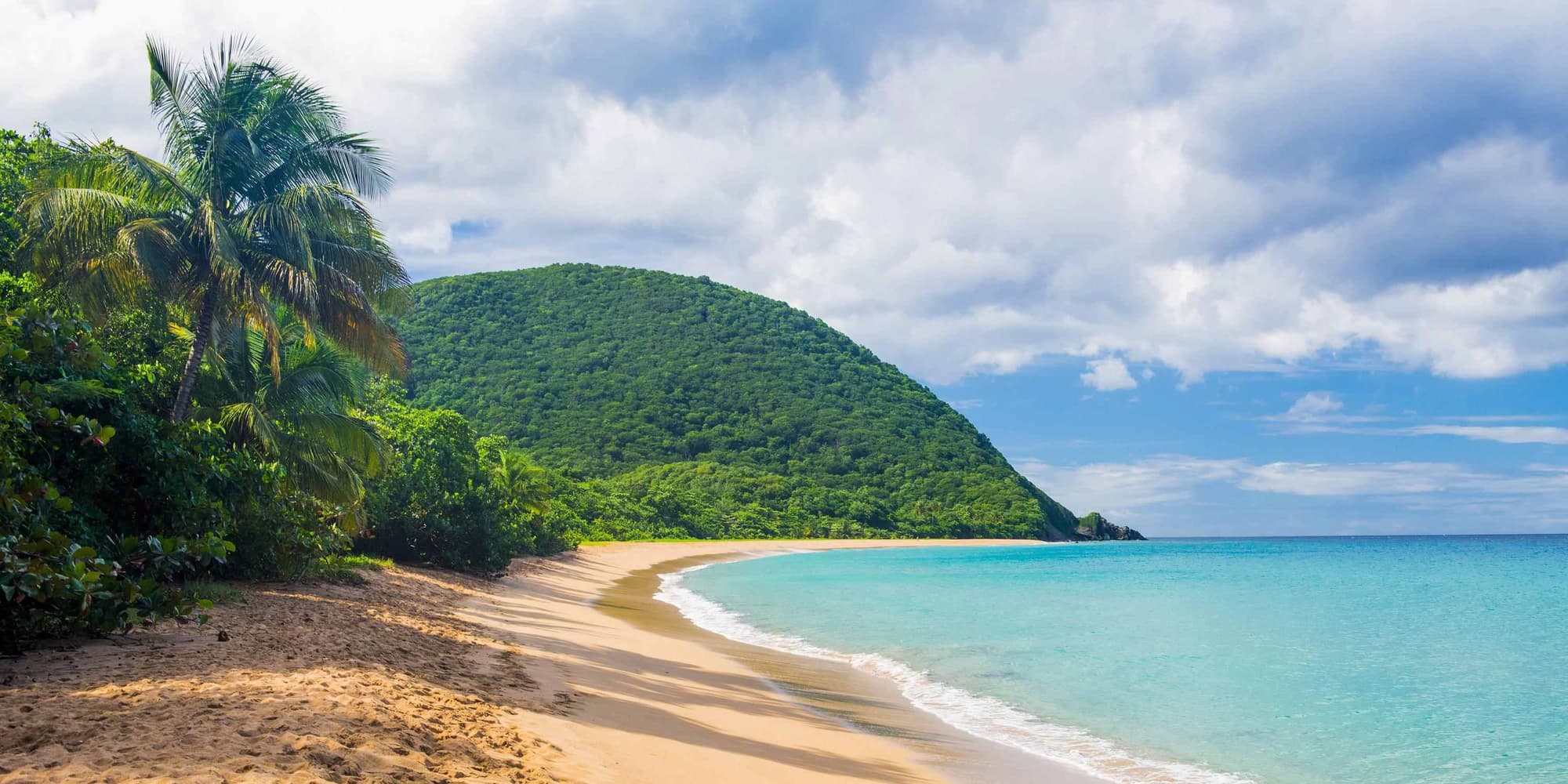  Día 8 | Sábado 28 de Marzo | Basseterre