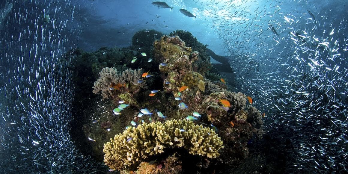 Days 8-10: Luxor/Sharm El Sheikh