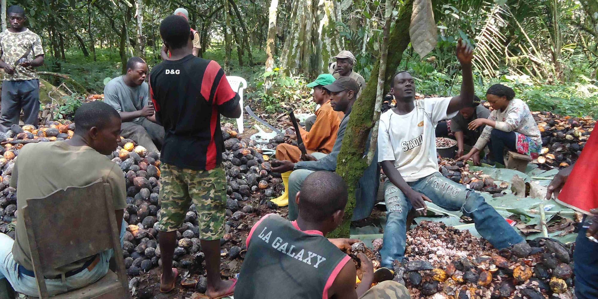 Day 4 : Dja Reserve - Somalomo - Yaounde