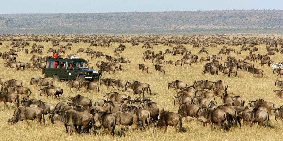 Día 4 |  Viernes 22 de Mayo | Masai Mara