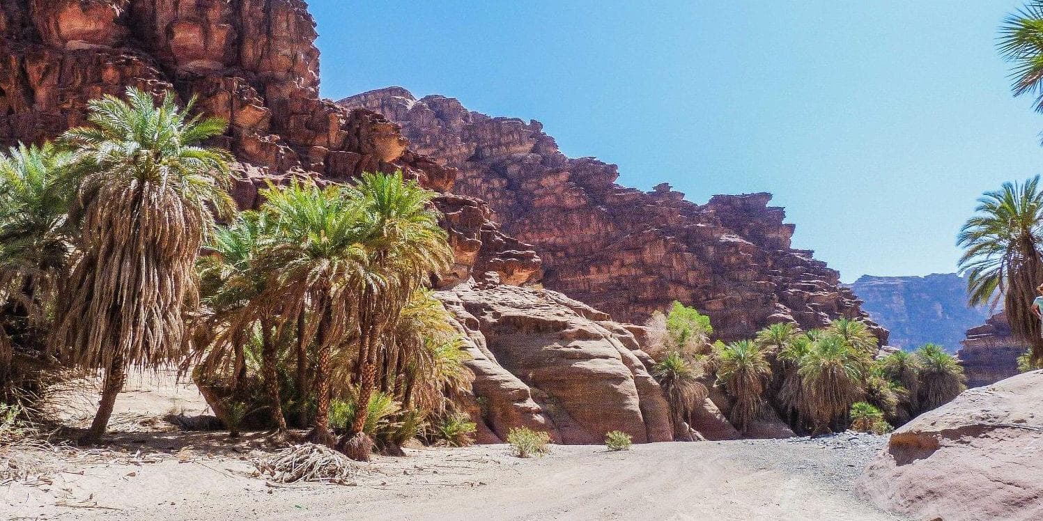 DÍA 10: AL ULA-DISSAH-TABUK (300 km)