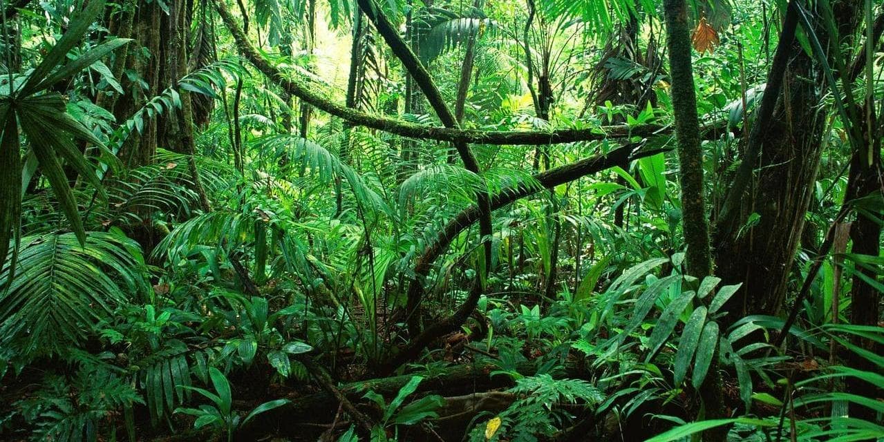 3º Giorno – Cittá del Messico / Tuxtla Gutierrez / San Cristóbal de las Casas (68 km) 