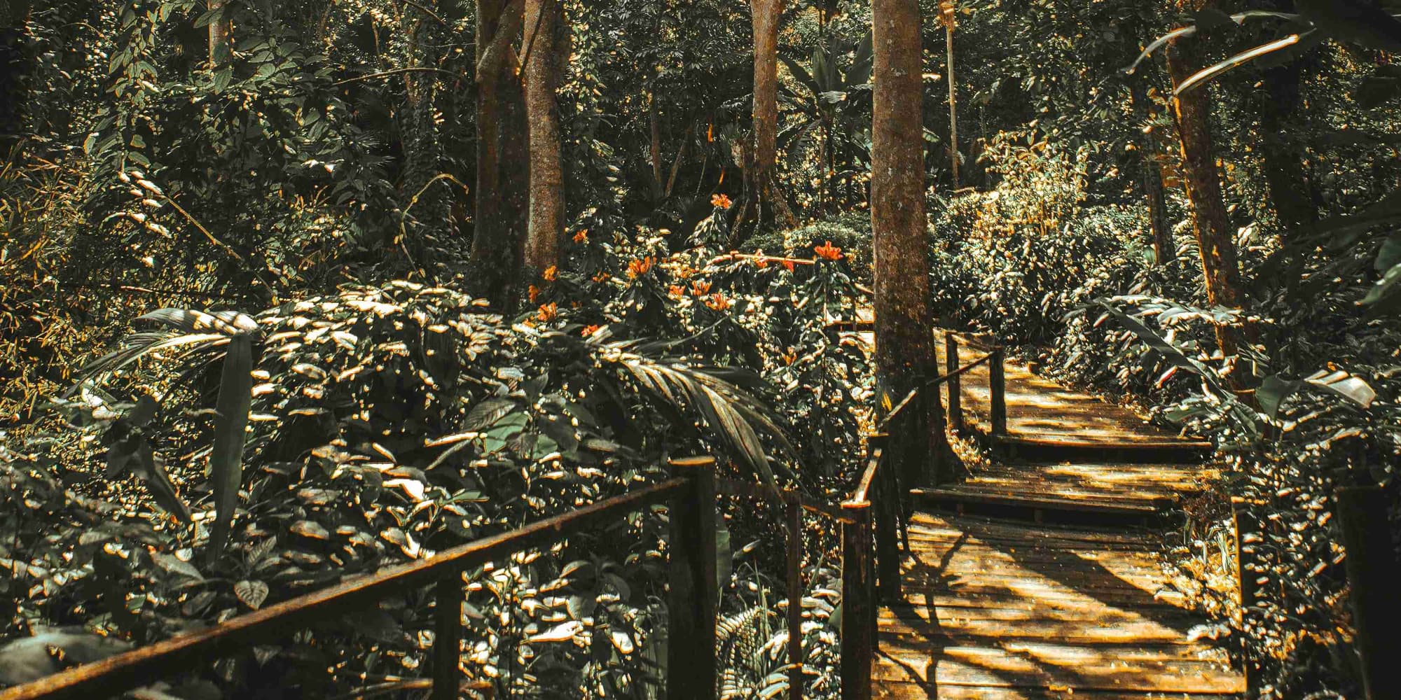 DAY 2: UNDERWATER ADVENTURE AND SPA ON THE ISLAND