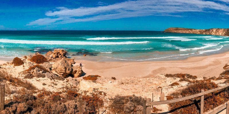 ADELAIDE / KANGAROO ISLAND