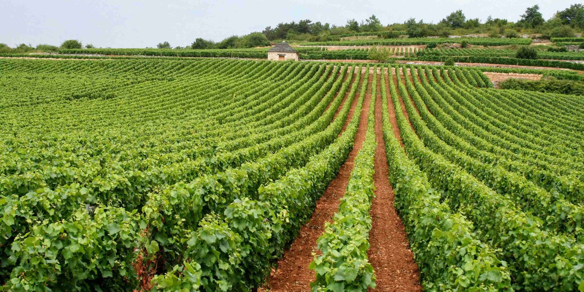 JOUR 8 : HISTOIRE, VIN ET GORGES AU CŒUR DE LA TERRA ALTA
