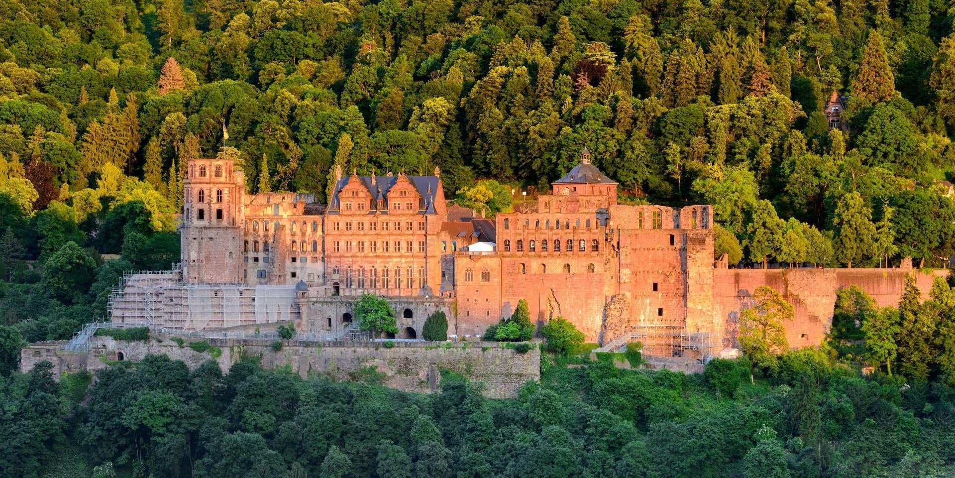 DAY 08 MUNICH – HEIDELBERG - FRANKFURT BUS 431 KM