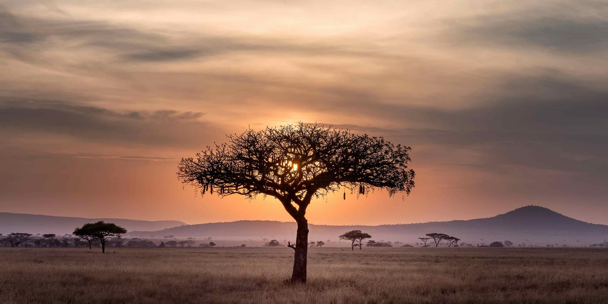 DIA 3: BLUE SAFARI E PAGE ADVENTURE