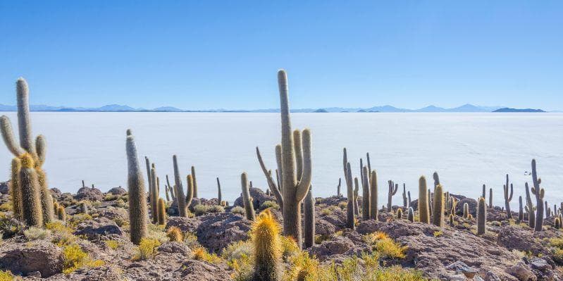 UYUNI’ / LA PAZ