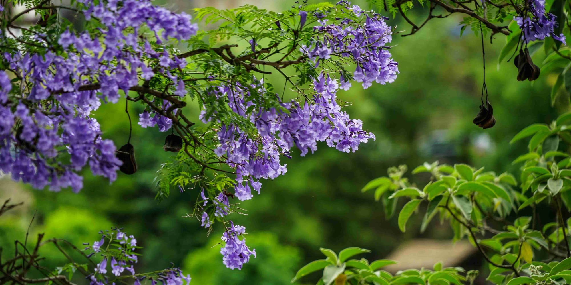 DAY 5: THE TEMPLE OF THE FUTURE AND THE FINAL INTEGRATION