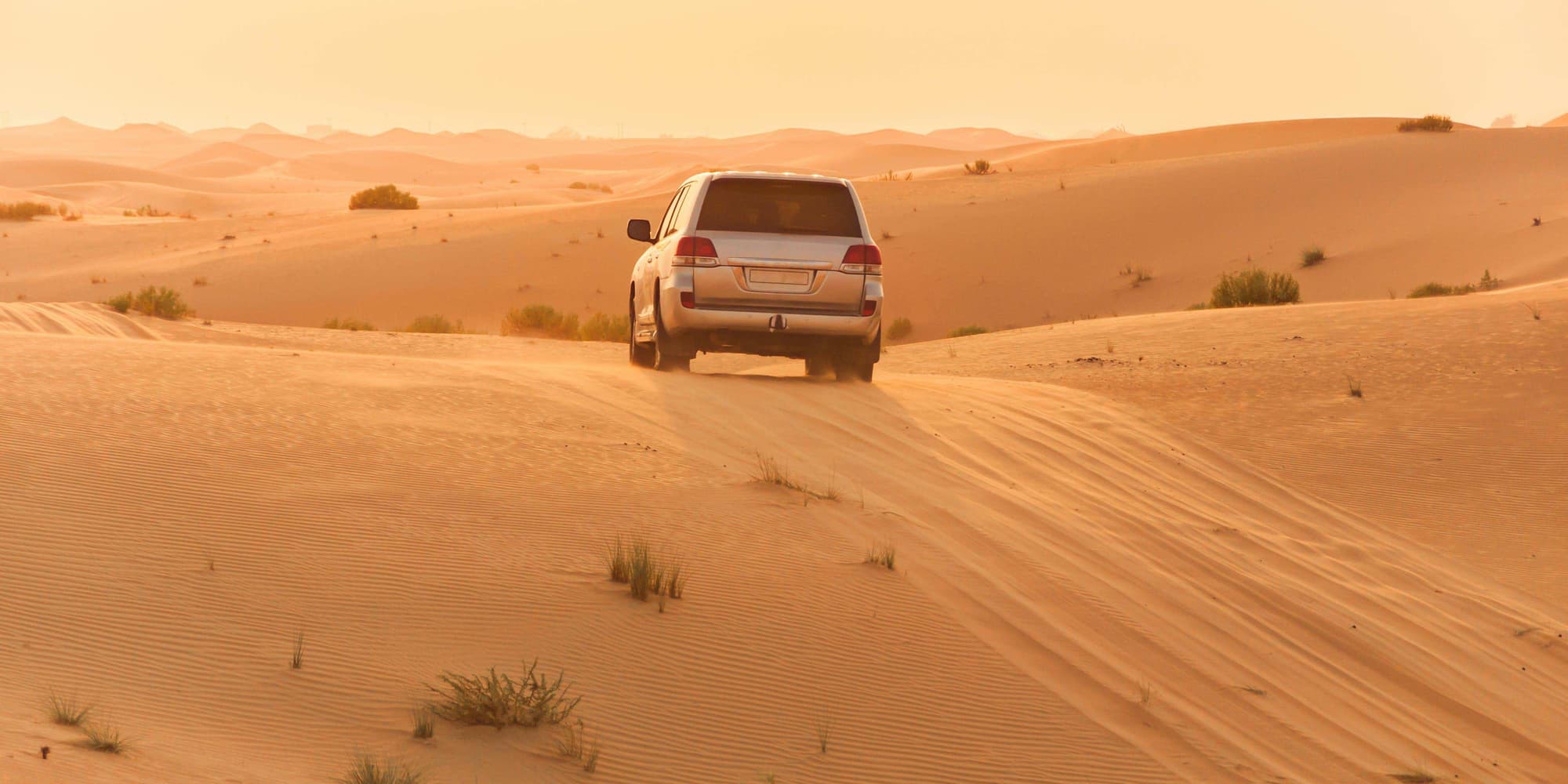 Jour 5 : Abu Dhabi – safari dans le désert