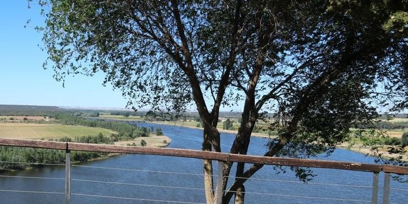 5º Dia – Peñafiel e Castronuño