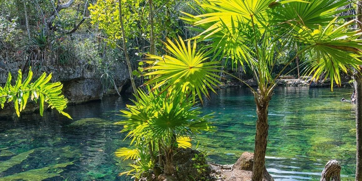 1º Giorno Cancun / Cobá– Ek Balam / Merida. (390 km circa)