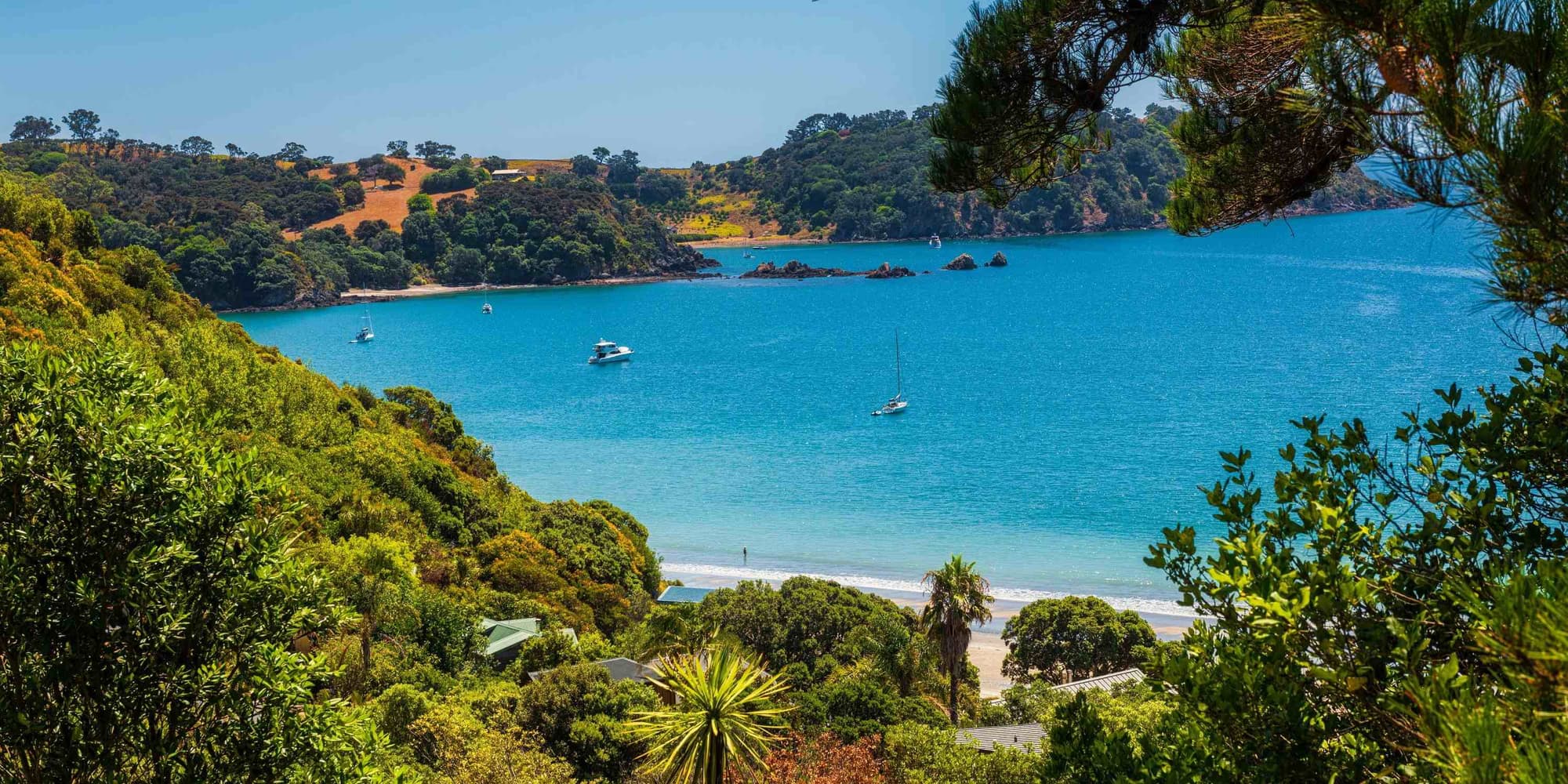 Día 3 | Miércoles 11 de Marzo | Auckland