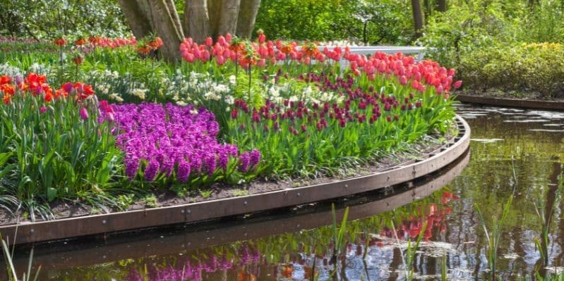 AMSTERDAM / KEUKENHOF / HARLEM / ITALIA