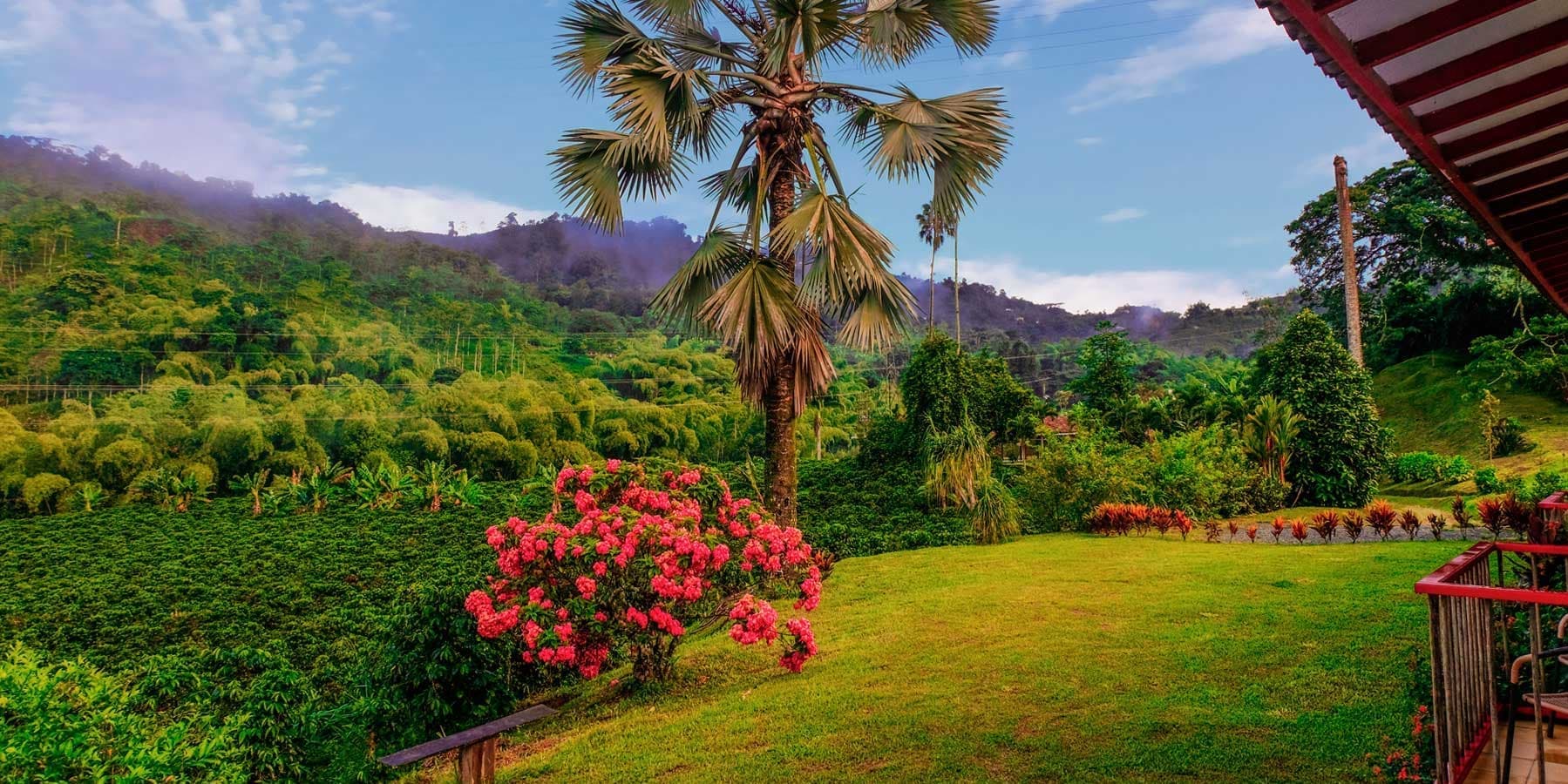 Días 4 | Sábado 25 de Abril | Eje Cafetero