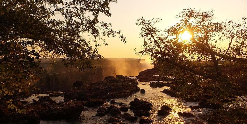 Jour 5 : Le parc national Kruger (+/- 60 km dans la journée selon observation animalière)