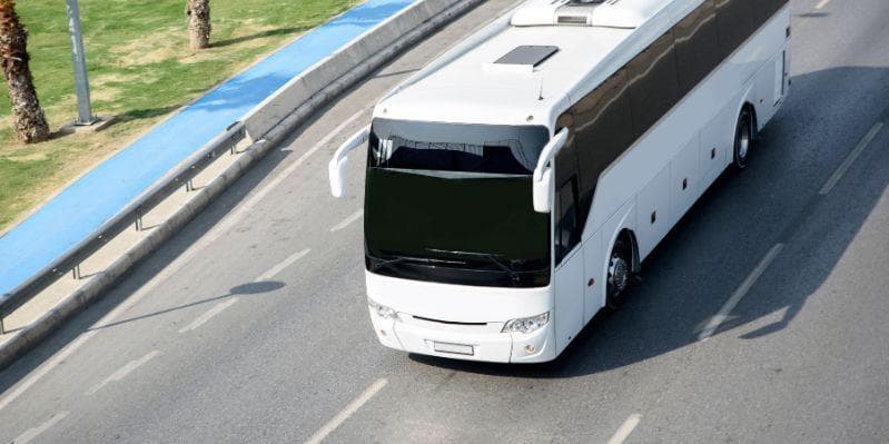 SPECCHIOLLA / BOLOGNA / FIRENZE